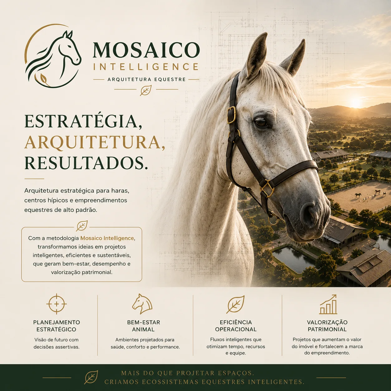 Mosaico Intelligence